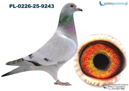 PL-0226-25-9243