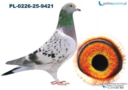 PL-0226-25-9421