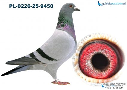 PL-0226-25-9450