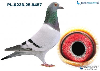 PL-0226-25-9457