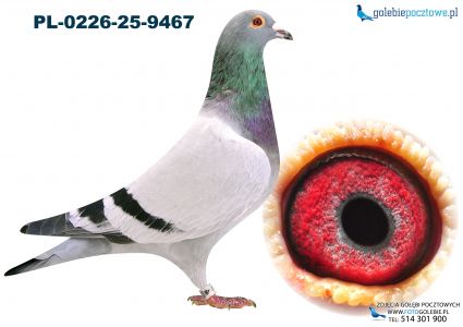 PL-0226-25-9467