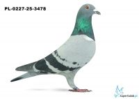 PL-0227-25-3478 22. OKRĘG ŁÓDŹ 