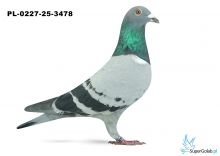 PL-0227-25-3478 22. OKRĘG ŁÓDŹ 