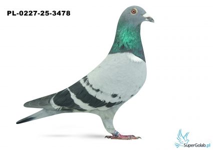 PL-0227-25-3478 22. OKRĘG ŁÓDŹ 