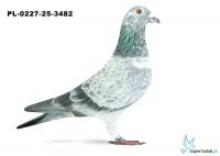 PL-0227-25-3482 22. OKRĘG ŁÓDŹ