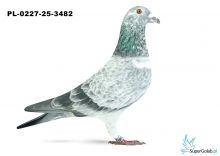 PL-0227-25-3482 22. OKRĘG ŁÓDŹ