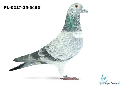 PL-0227-25-3482 22. OKRĘG ŁÓDŹ