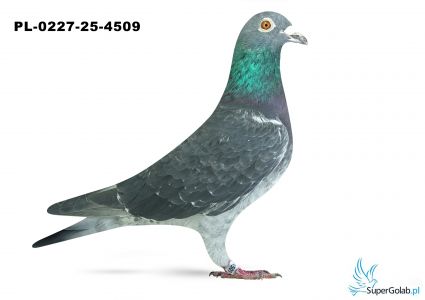 PL-0227-25-4509 22. OKRĘG ŁÓDŹ