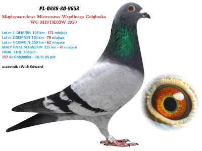 PL-0228-20-9652 WG MISTRZÓW