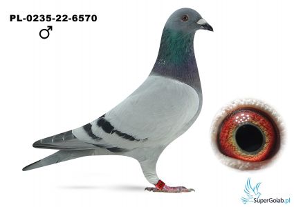 PL-0235-22-6570