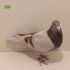 PL-0235-23-10065 Linia 