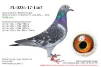 PL-0236-17-1467