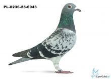 PL-0236-25-6043 20. NOWY SĄCZ