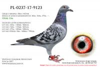 PL-0237-17-9123