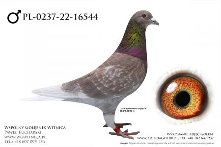 PL-0237-22-16544: Buczkowski Andrzej, 41. Lotnik, m in 18m, 18m, 35m z FINAŁU