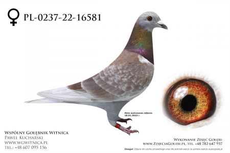 PL-0237-22-16581: Buczkowski Andrzej, 88. Lotnik, m in 22m z FINAŁU