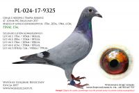PL-024-17-9325
