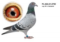 PL-024-21-2795 org. W. A. Hańderek