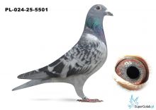 PL-024-25-5501 inbred DAKAR