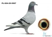 PL-024-25-5507 wnuk COMY i KARIN