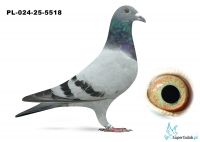 PL-024-25-5518