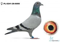 PL-0241-26-6000 Marian Dej