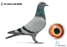 PL-0241-26-6000 Marian Dej