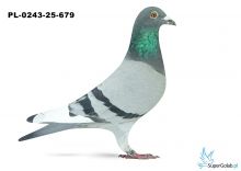 PL-0243-25-679 11. OKRĘG OLSZTYN