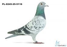 PL-0245-25-5116 11. OKRĘG OLSZTYN 