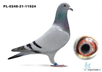 PL-0248-21-11924 Derewlany Edward