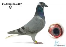 PL-0248-24-4487
