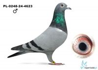 PL-0248-24-4623 .
