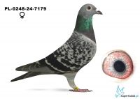 PL-0248-24-7179
