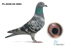 PL-0248-25-3884