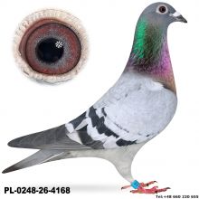 PL-0248-26-4168