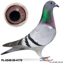 PL-0248-26-4170