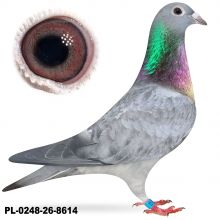 PL-0248-26-8614