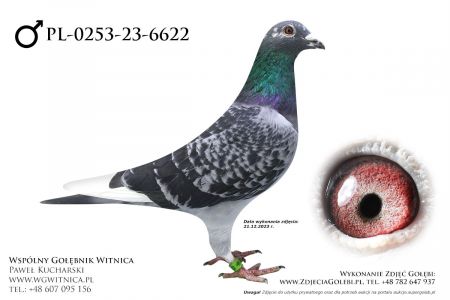 PL-0253-23-6622: Dworczak Mateusz, 88. Lotnik, m in 2m