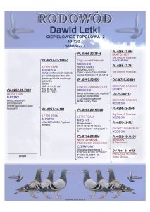 Pl-0253-25-7793