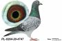 PL-0253-26-3401 100 % Rainer Puttmann