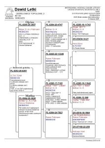 PL-0253-26-6201 Wnuk 1 lotniczki odziału i 3 lotnika odziału