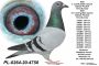 PL-0253-26-6201 Wnuk 1 lotniczki odziału i 3 lotnika odziału