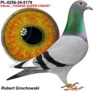 Pl-0256-24-5179. Samiec