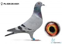 PL-026-26-4421 Iwański Tomasz - Wyrwont Józef