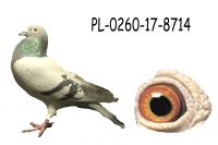 PL-0260-17-8714