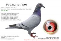 PL-0262-17-11004