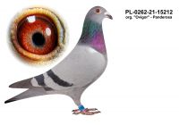 PL-0262-21-15212 org.