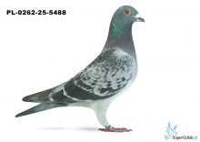 PL-0262-25-5488 2. OKRĘG OPOLE