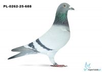 PL-0262-25-688  2. OKRĘG OPOLE