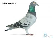 PL-0262-25-859 2. OKRĘG OPOLE